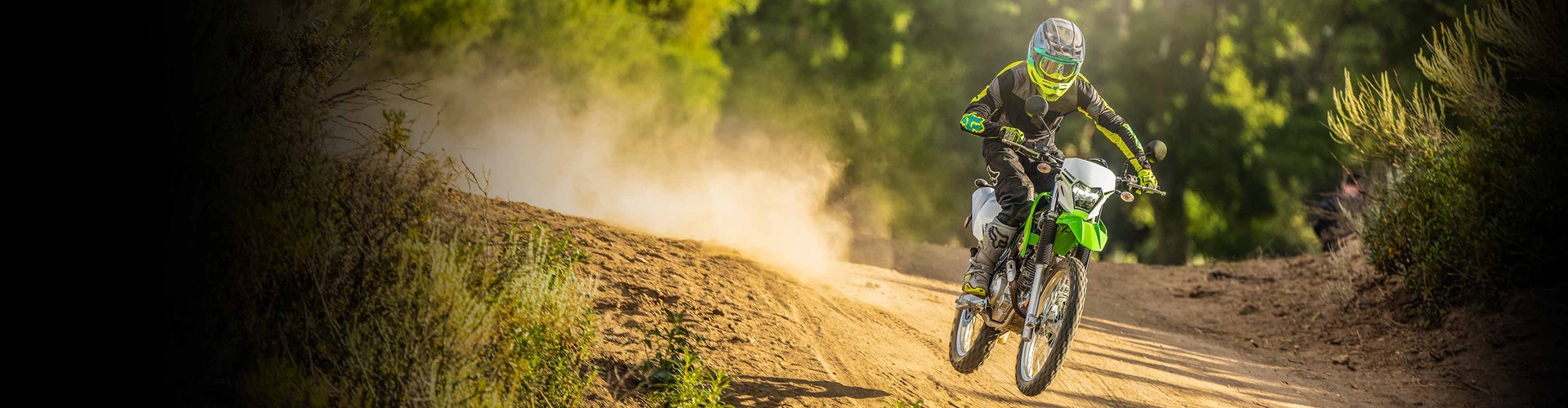 BANNER KLX 230