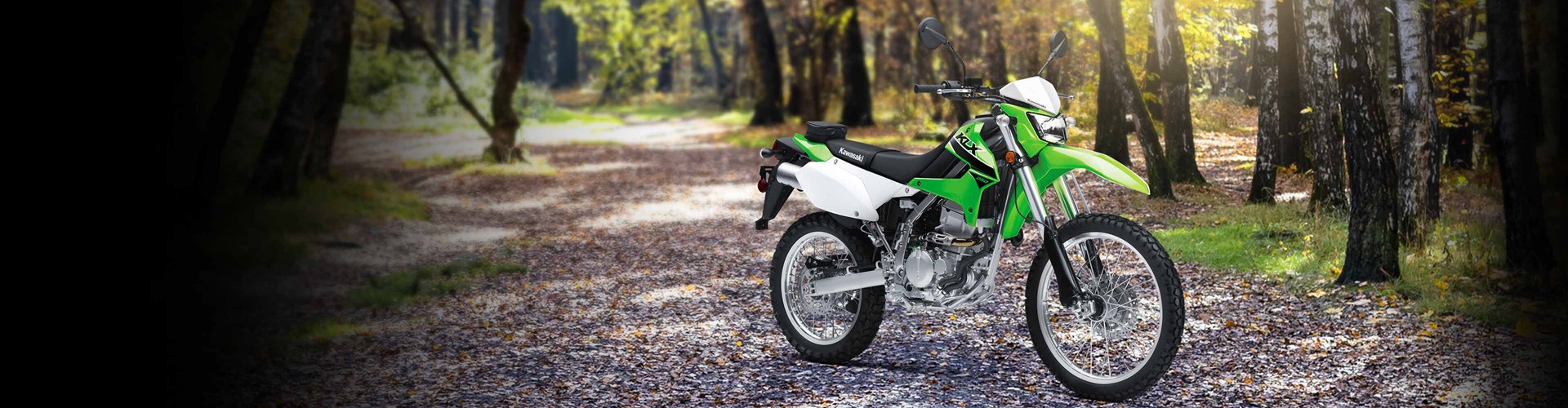 BANNER KLX 250