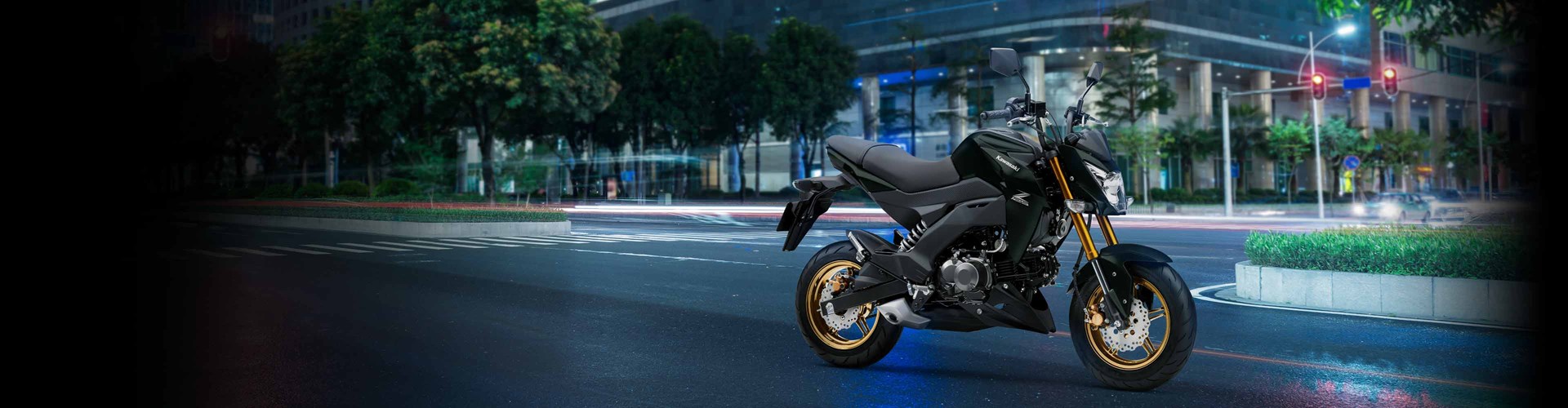 BANNER Z125 PRO